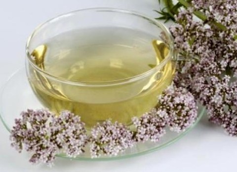 تصویر 1 از خرید عرق سنبل الطیب + قیمت رقابتی