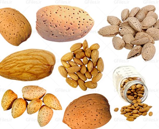 تصویر 5 از بادام سنگی مرغوب + خرید به صرفه
