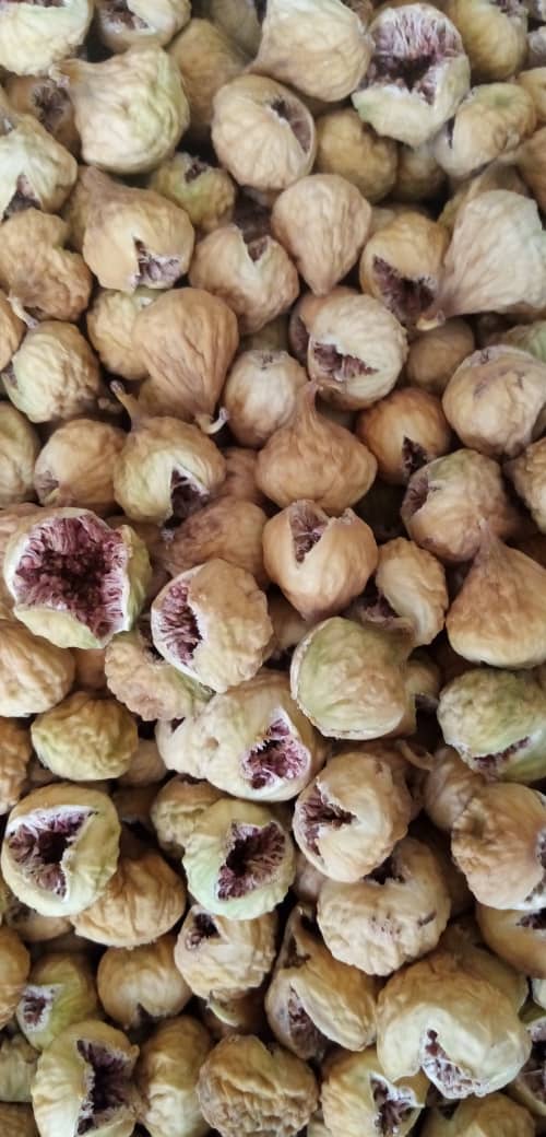 خرید عمده انجیر صد یک با تضمین کیفیت عالی
