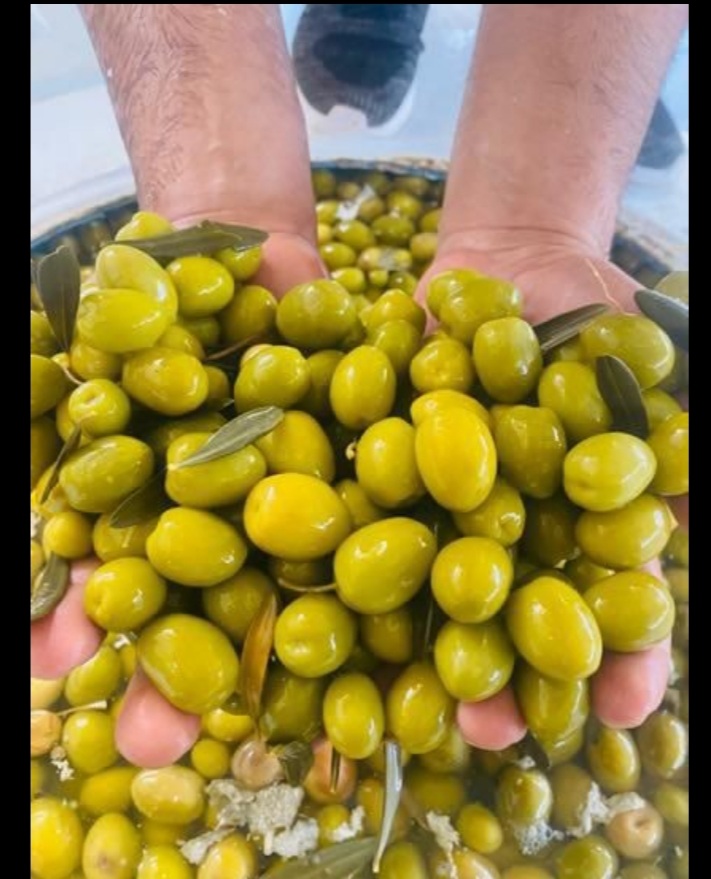 تصویر 4 از فروش فوق العاده زیتون اسلایس طارم زنجان