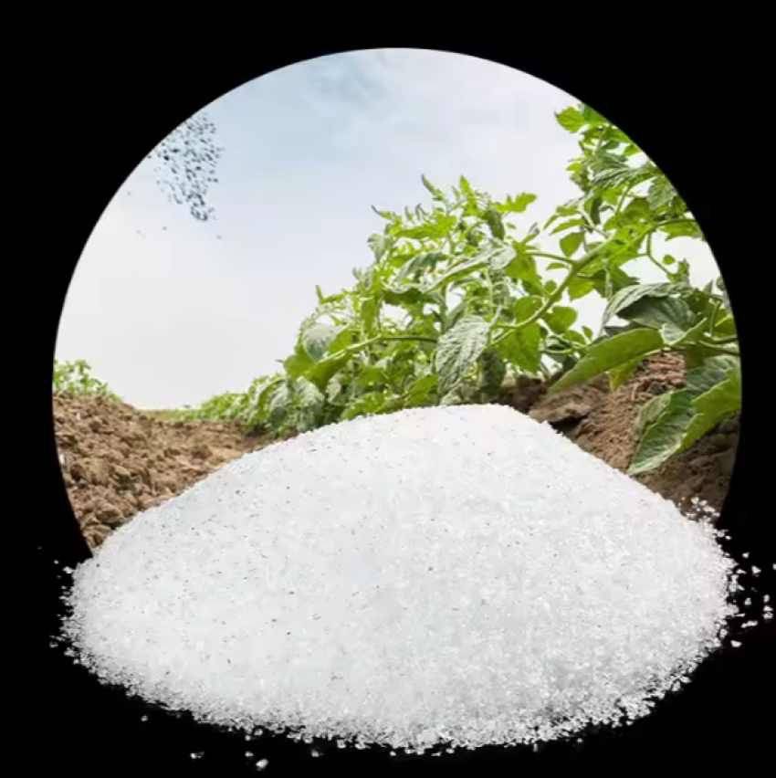 تصویر 2 از فروش خاک ژله‌ای مرغوب کیفیتی بی‌نظیر برای زمین شما