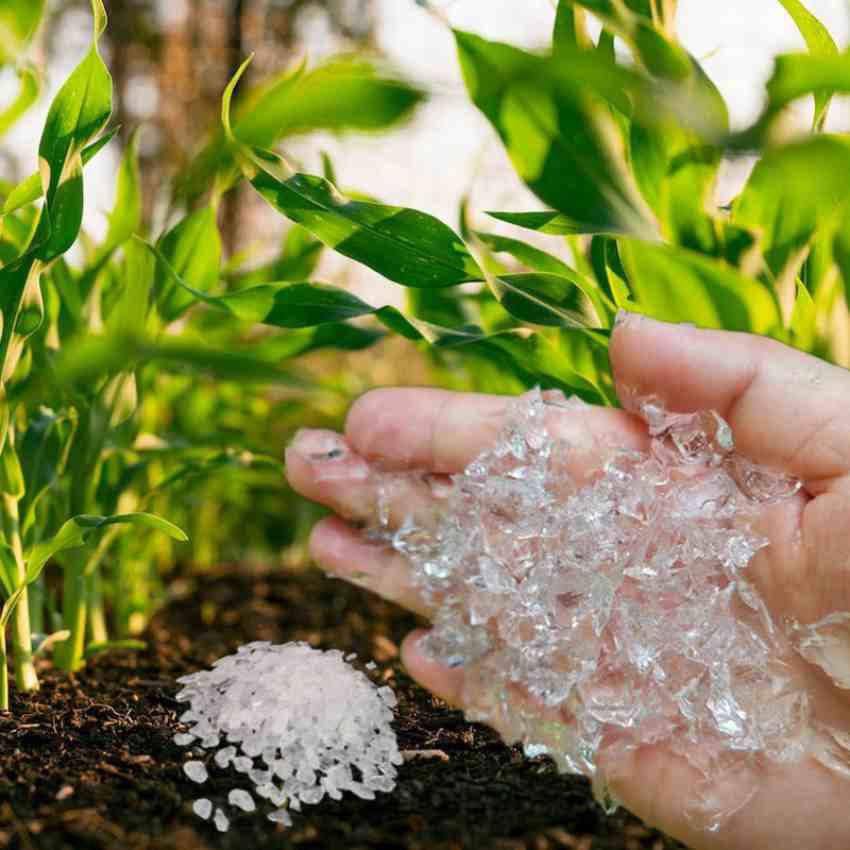 تصویر 1 از خرید هیدروژل کشاورزی؛ مخزن طبیعی آب در خاک