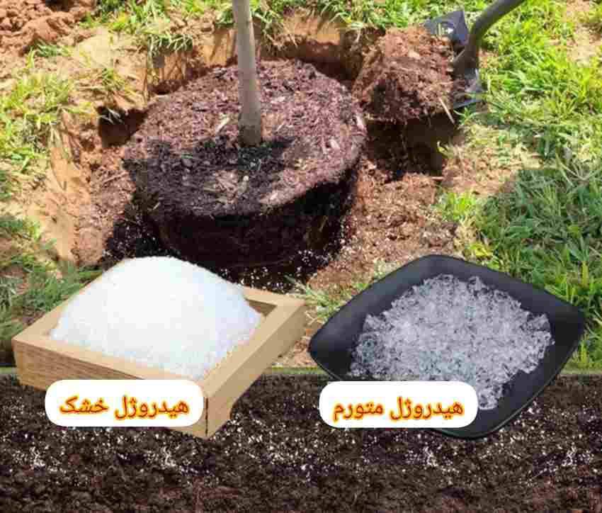 تصویر 3 از خرید هیدروژل گلخانه‌ای؛ سبزی همیشگی محصولات شما
