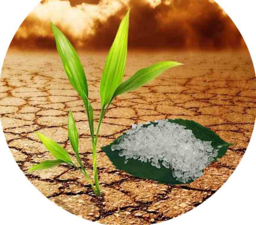 تصویر 1 از فروش خاک ژله‌ای؛ راهکاری سبز برای آینده‌ ای پایدار