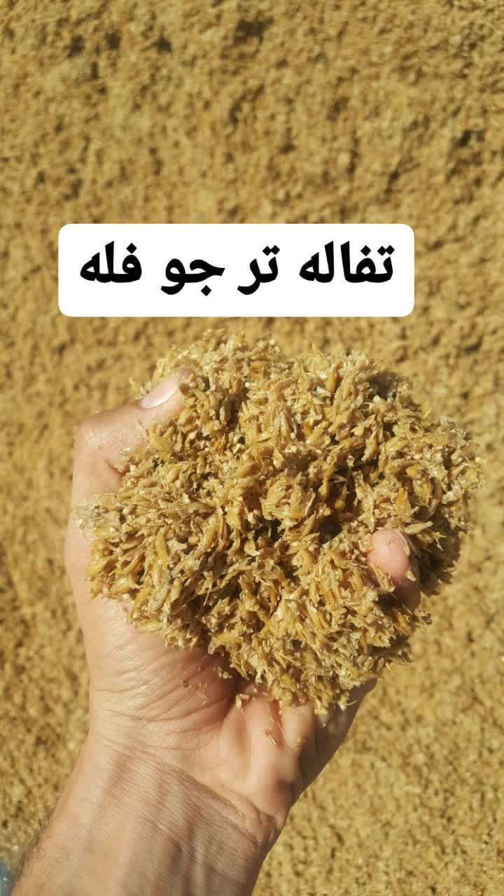 تصویر 1 از قیمت تفاله جو + خرید