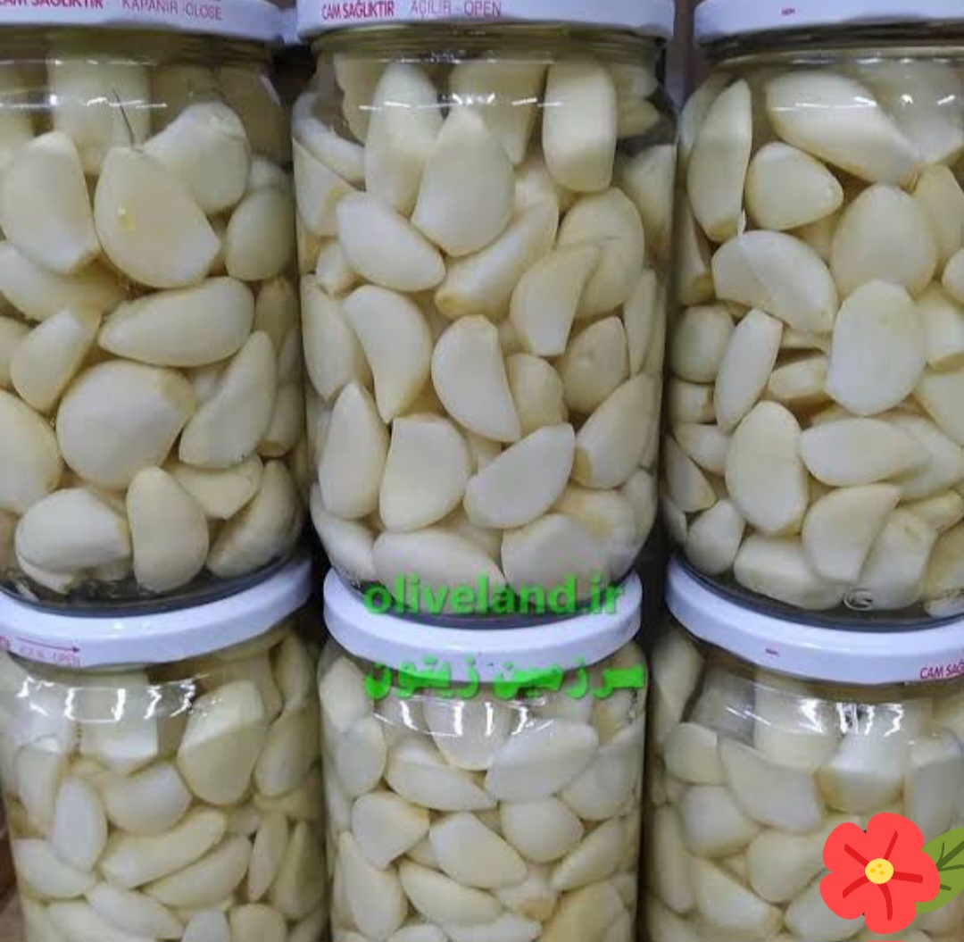 تصویر 1 از فروش عمده سیر مروارید سولان + مرکز سیر ایران