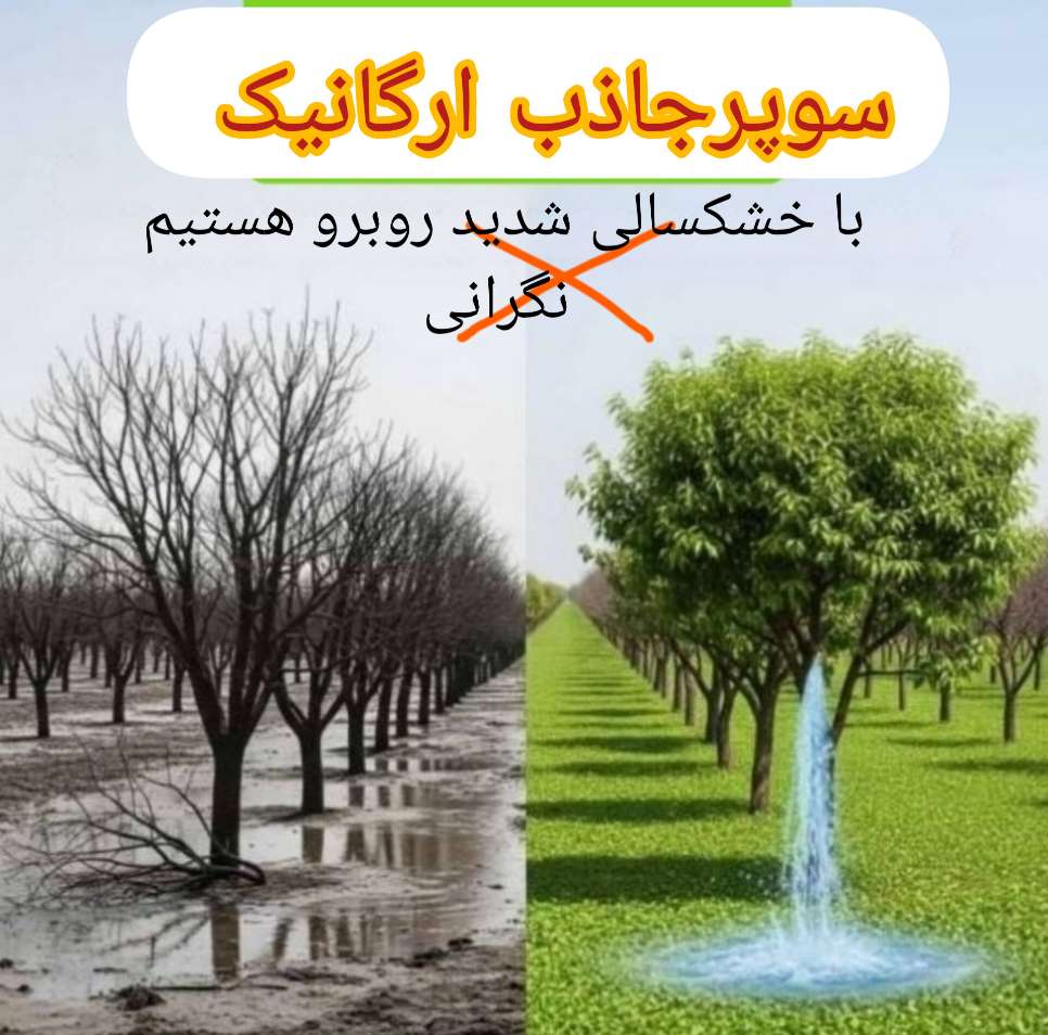 تصویر 1 از فروش عمده و استثنایی پودر سوپر  جاذب ارگانیک