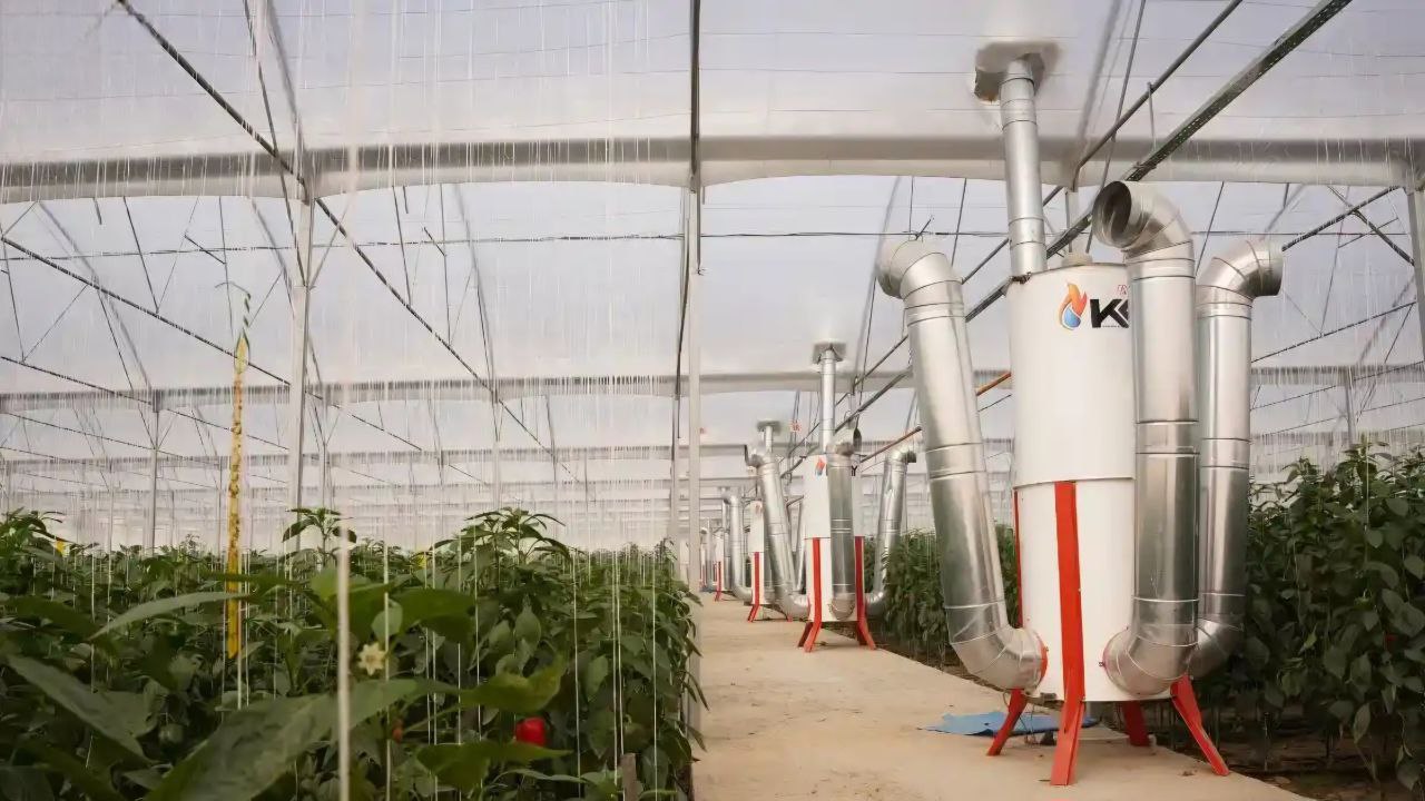تصویر 5 از خرید بخاری گازی گلخانه ECO 250 با قیمت استثنایی