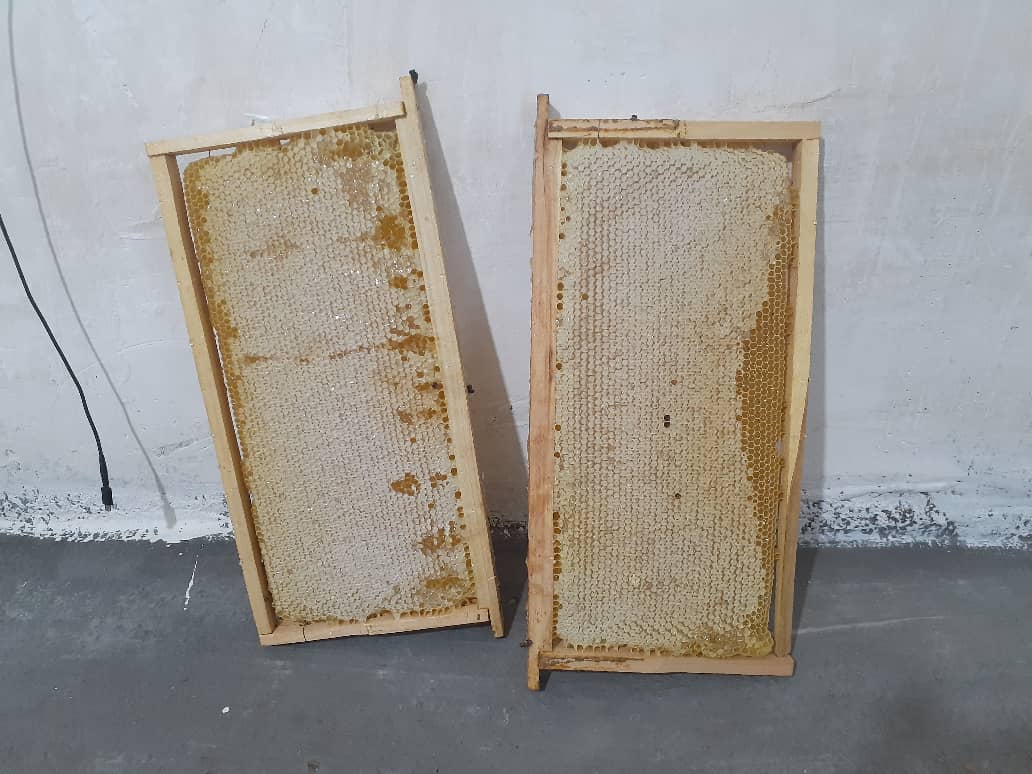 تصویر 6 از عسل ارگانیک چهل گیاه مرغوب خوانسار