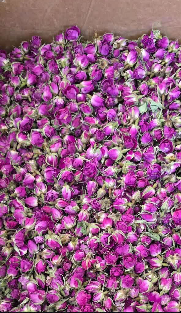 تصویر 2 از فروش غنچه گل محمدی خشک فله