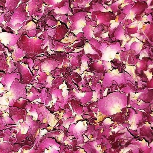 تصویر 3 از فروش پر گل محمدی خشک فله