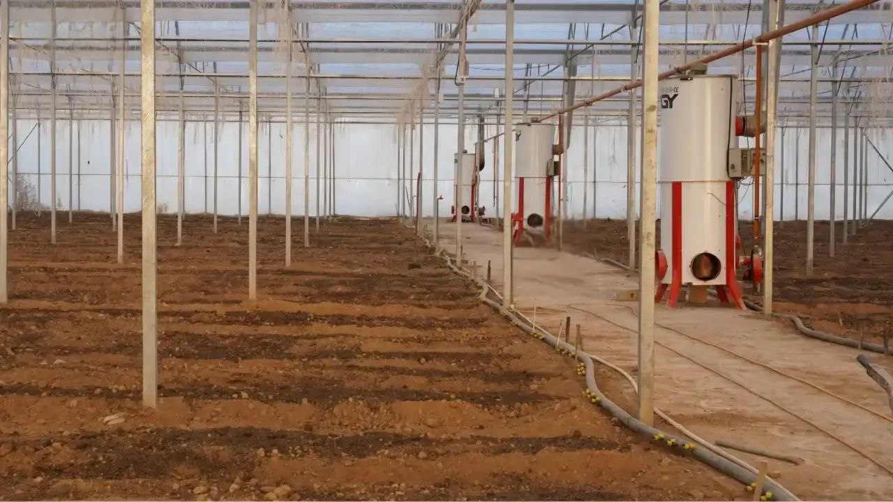 تصویر 3 از قیمت عمده بخاری گلخانه 250 کیلوکالری + خرید باورنکردنی