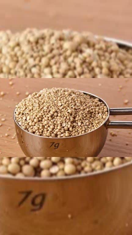 تصویر 1 از فروش استثنائی خمیرمایه + ارسال فوری