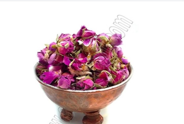 غنچه گل محمدی با کیفیت عالی استثنایی