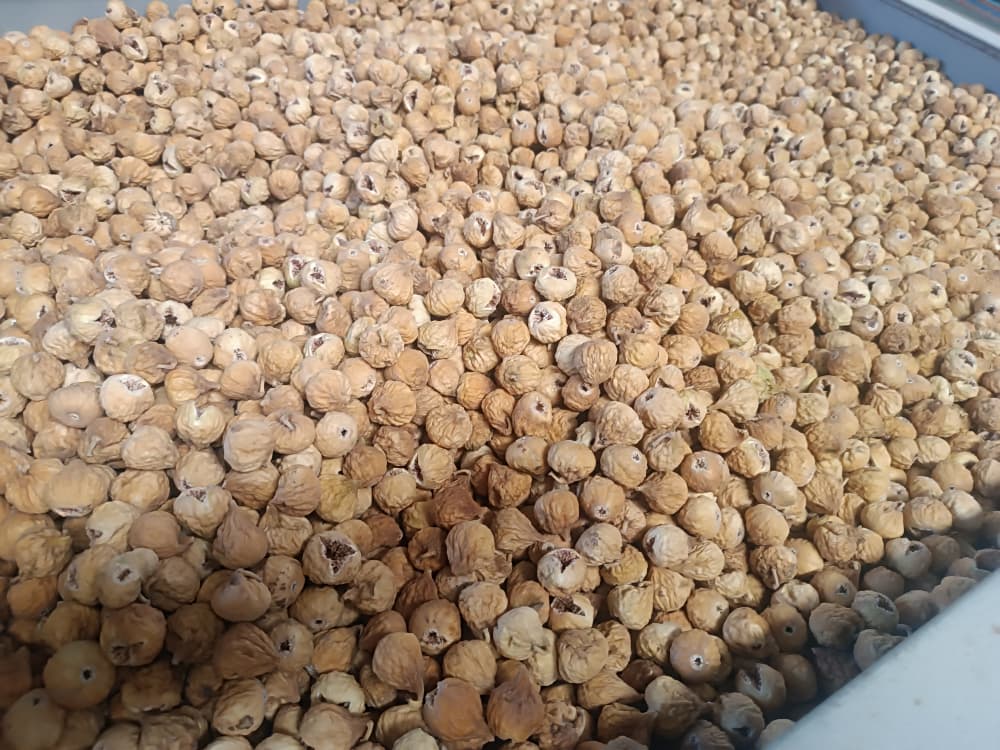 خریدانجیر ریز (AAA) + کیفیت ممتاز