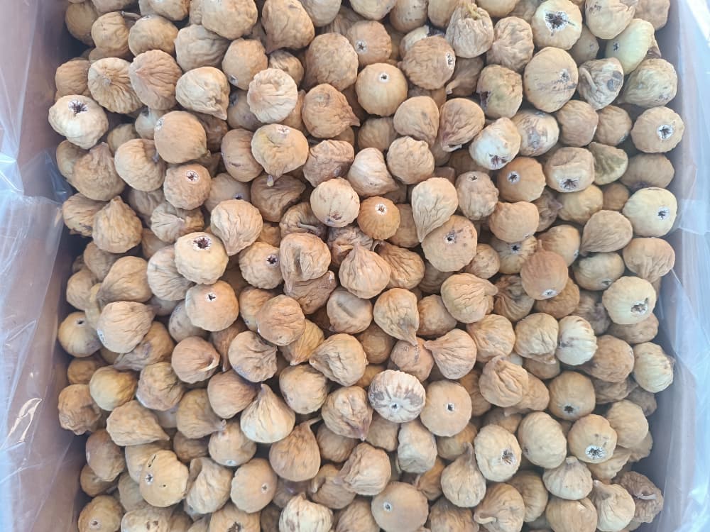 تصویر 2 از خریدانجیرمتوسط قهوه ای (AA) + باکیفیت