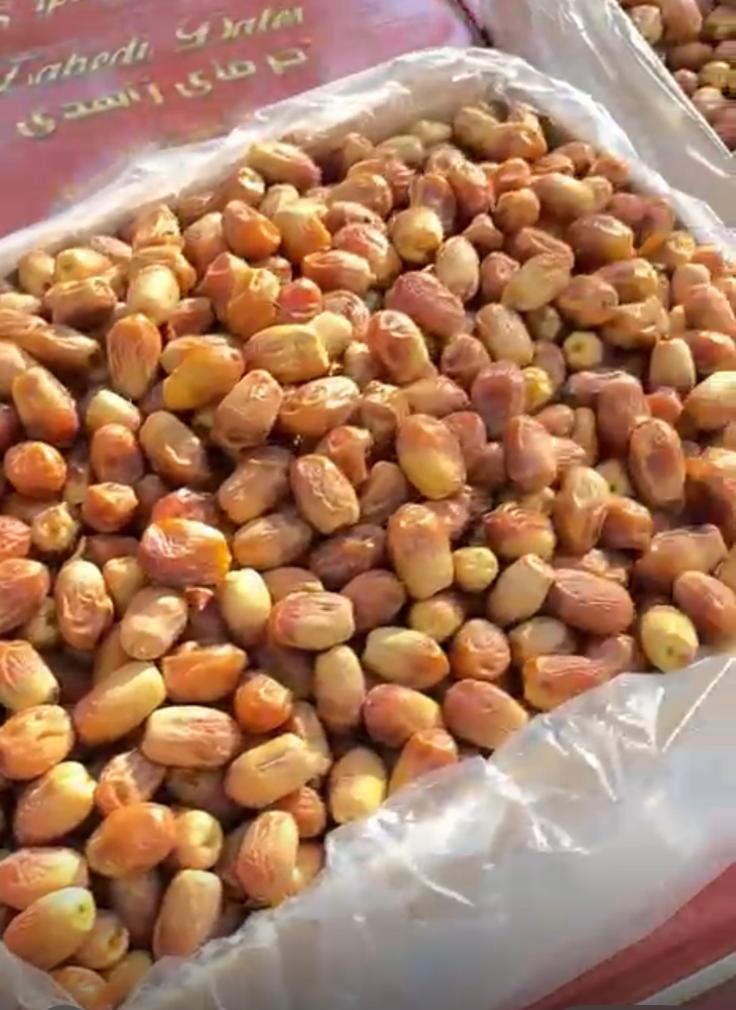تصویر 1 از خرما زاهدی با نازلترین قیمت + فروش اینترنتی