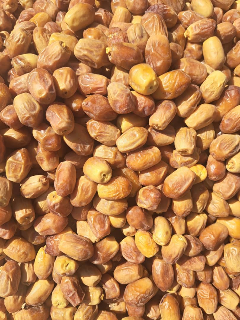 تصویر 1 از خرید خرما زاهدی با کیفیت درجه یک + فروش عمده