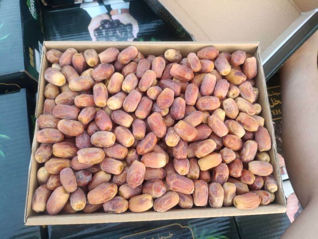 تصویر 2 از خرید خرما زاهدی با کیفیت درجه یک + فروش عمده