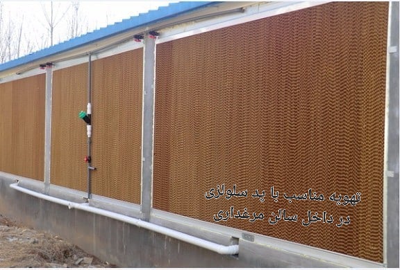 تصویر 1 از قیمت خرید اینترنتی تهویه مناسب با پد سلولزی در داخل سالن مرغداری