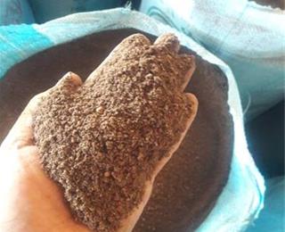 تصویر 2 از تفاله خرما دامی عمده
