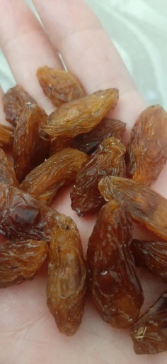 قیمت مناسب مويز شیرازی + فروش عمده