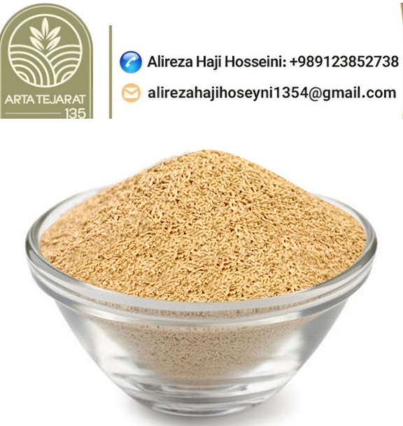 تصویر 1 از فروش خمیرمایه + قیمت روز