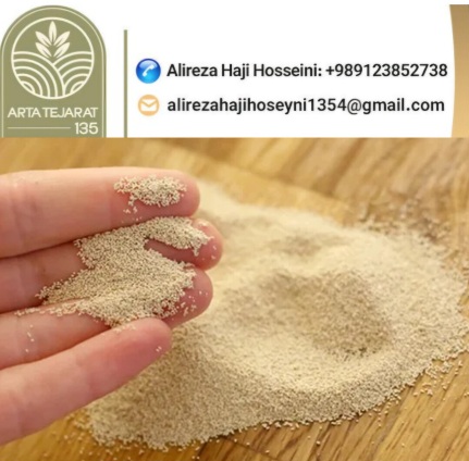 تصویر 2 از فروش خمیرمایه + قیمت روز