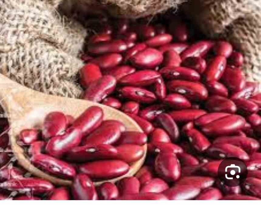 تصویر 2 از قیمت فروش کنسرو لوبیا قرمز با کیفیت + فروش عمده