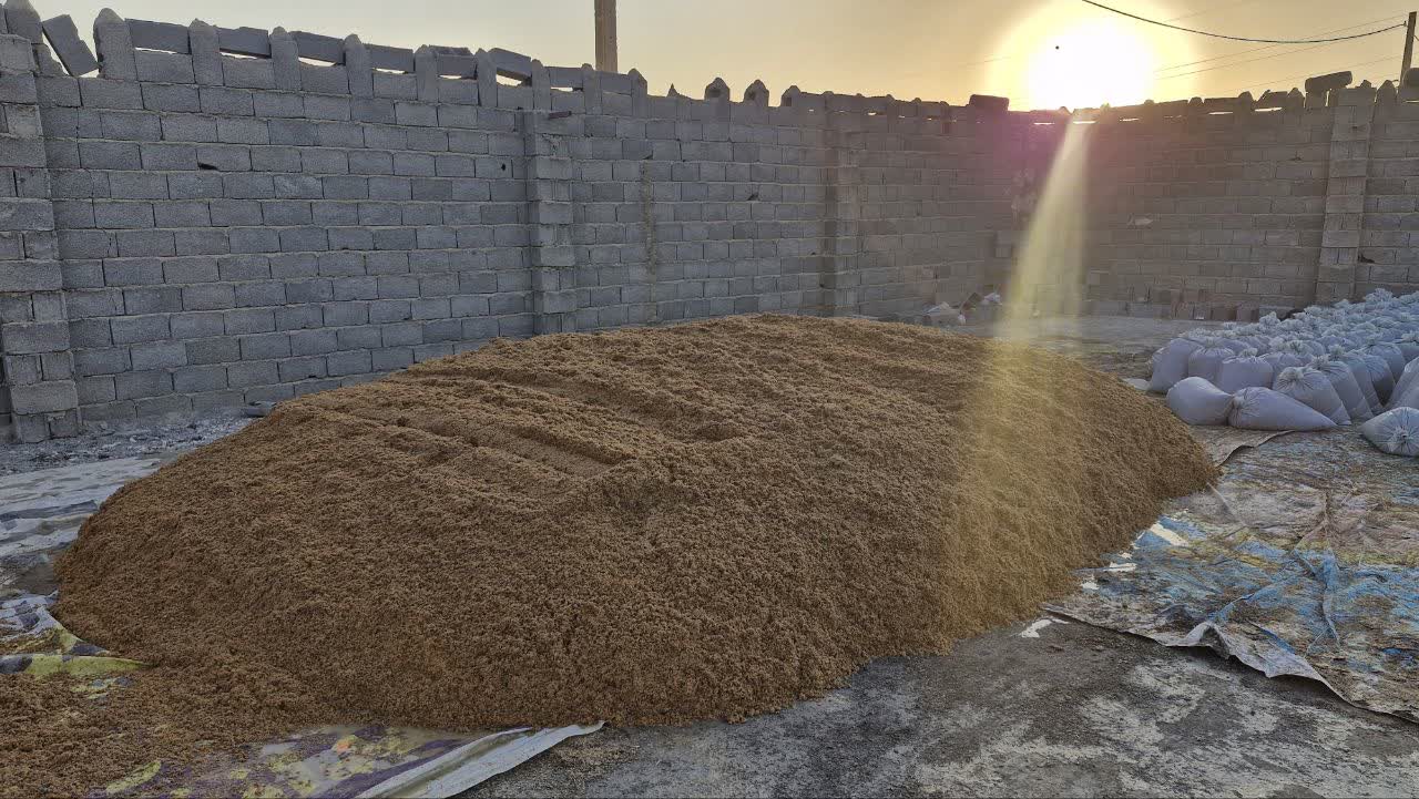 تصویر 1 از قیمت فروش آسان تفاله جو برای دام عمده