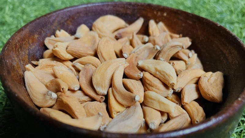 قیمت عمده سیر خشک شده همدان