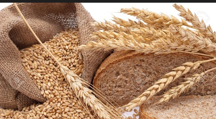 فروش گندم پوست کنده مخصوص حلیم + قیمت مناسب