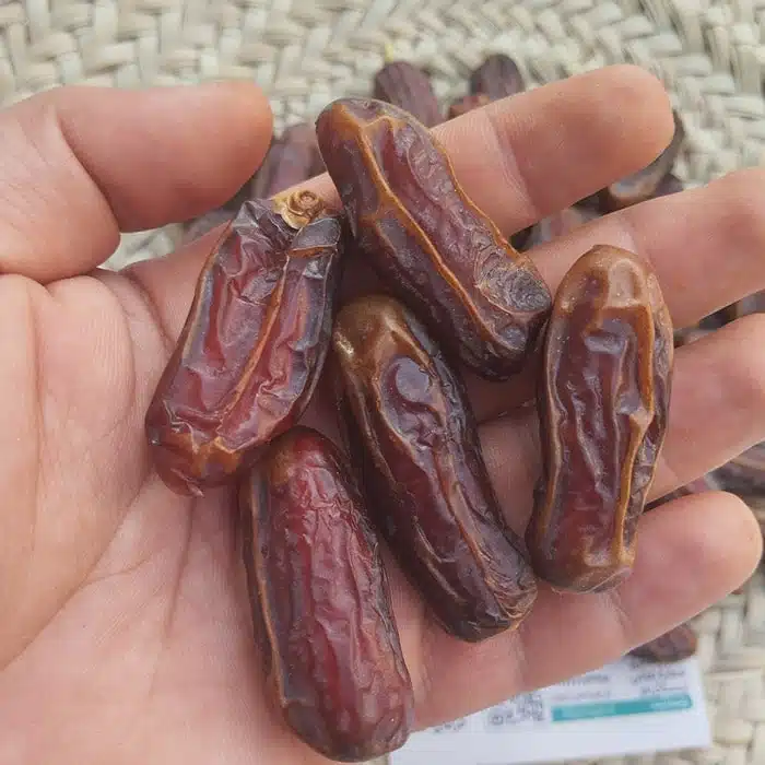 خرید انواع خرما شاهانی عالی قیمت مناسب صادرات به کشور عراق