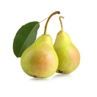 تصویر 3 از فروش گلابی خشک + فروش فوری