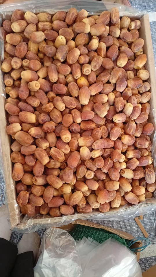 تصویر 1 از خرما زاهدی
