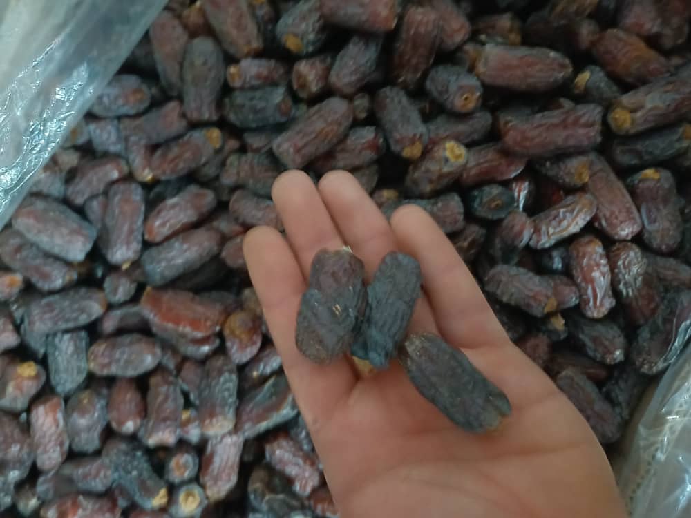 تصویر 1 از خرمای پیارم + قیمت فروش