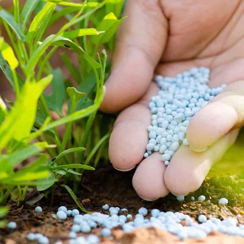 تصویر 2 از قیمت خرید کود ارگانیک کشاورزی + فروش ویژه