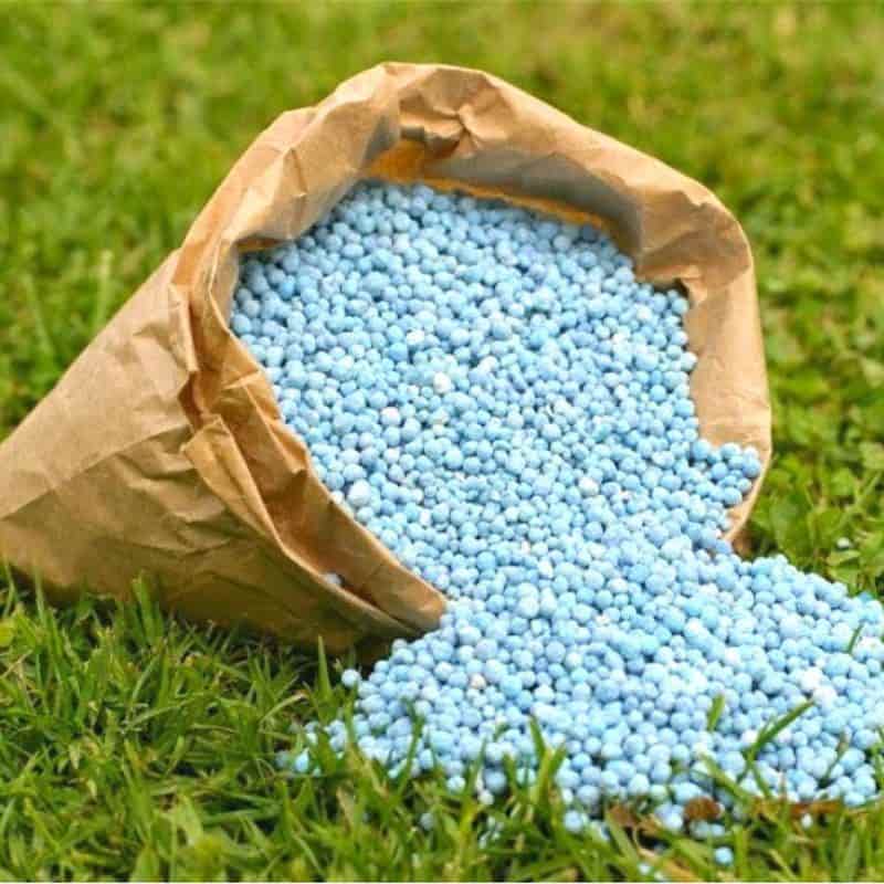 تصویر 3 از قیمت خرید کود ارگانیک کشاورزی + فروش ویژه