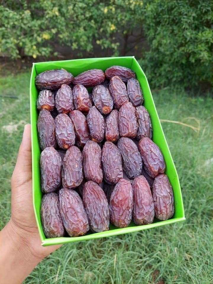 تصویر 3 از قیمت عمده خرما مجول درجه یک + خرید ویژه