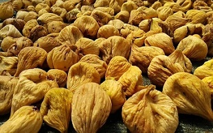 تصویر 5 از قیمت انجیر صد یک 3A + تخفیف ویژه