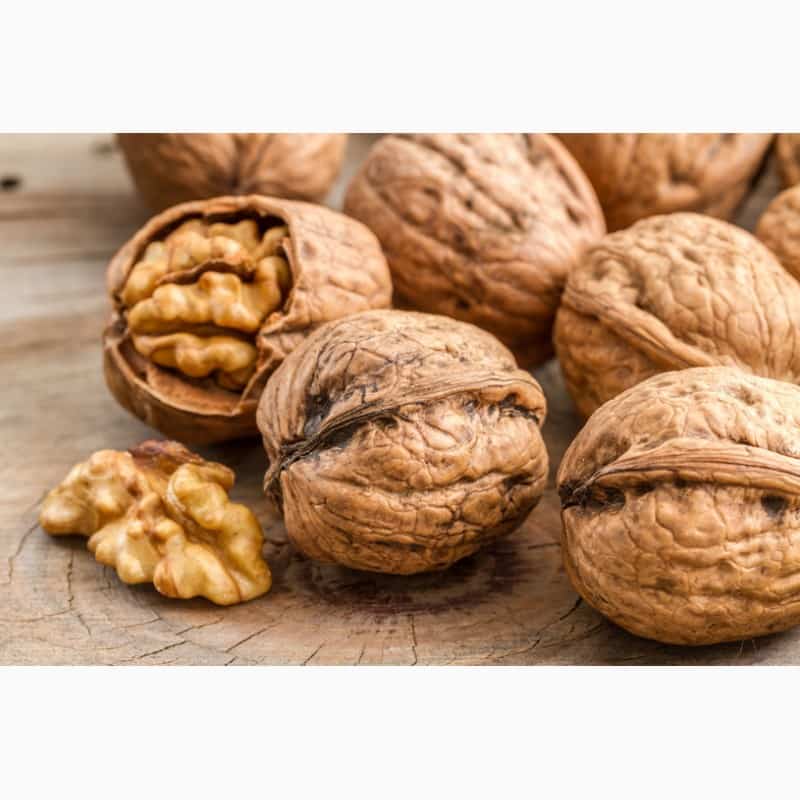 تصویر 2 از خرید و قیمت گردو پوست کاغذی + فروش عمده