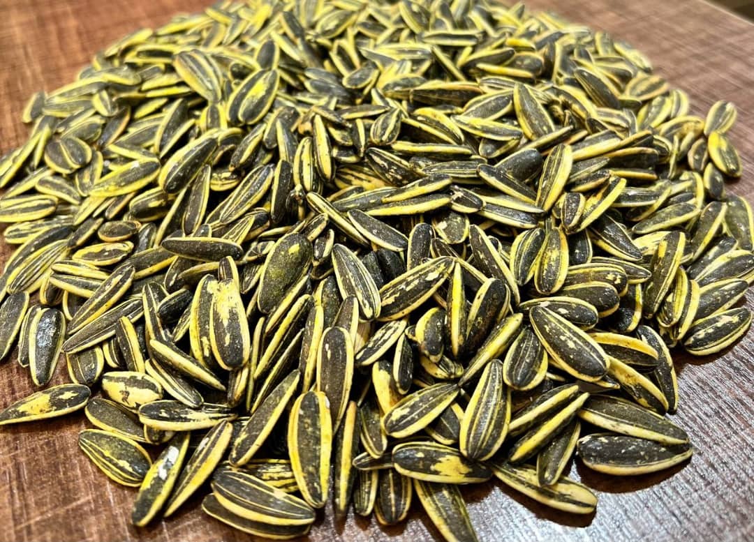 تخمه آفتابگردان از مزارع کشور با ویتامین و روغن طبیعی