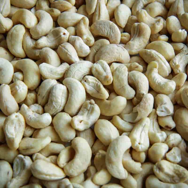 تصویر 2 از قیمت خرید بادام هندی با کیفیت + فروش ویژه