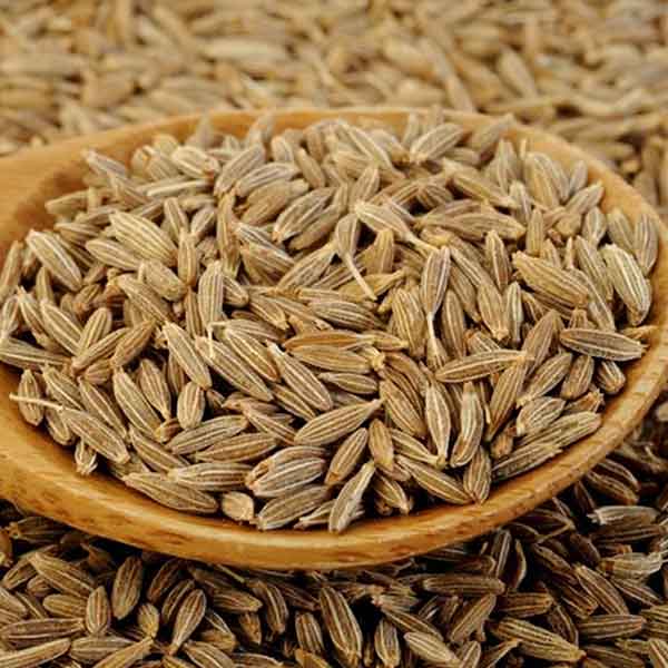 تصویر 3 از خرید و فروش عمده زیره سبز + ادویه‌ ای با طعم و خواص بی‌ نظیر