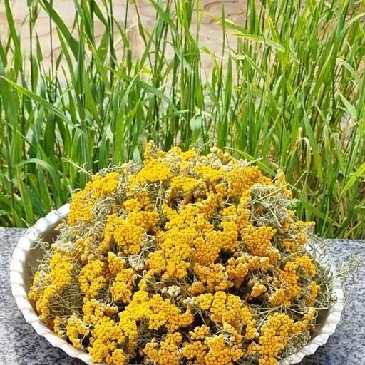 تصویر 1 از خرید و فروش عمده بومادران + گیاهی دارویی با خواص درمانی متنوع