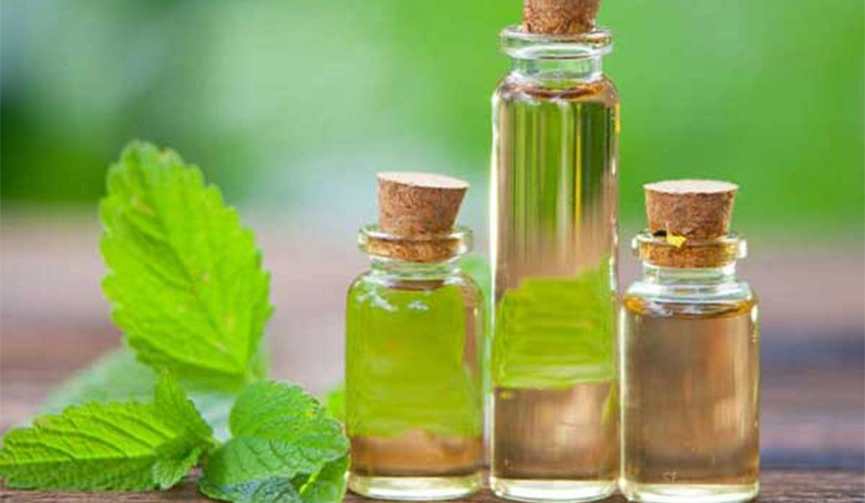 تصویر 1 از عرق نعنای اعلا مقوی + خرید عمده