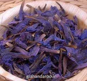 تصویر 2 از خرید و فروش عمده گل گاوزبان ارگانیک اردبیل محصولی اصیل و صادراتی