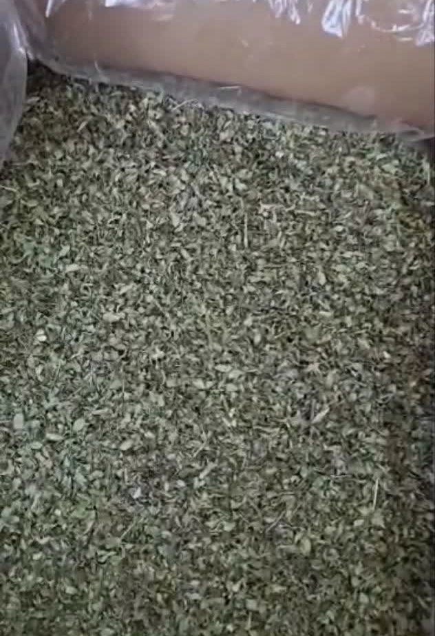 تصویر 2 از خرید و فروش عمده آویشن شیرازی برگ صادراتی با عطر و کیفیت بی‌ نظیر