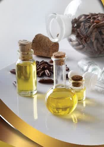 تولید کننده روغن هسته خرما + فروش ویژه