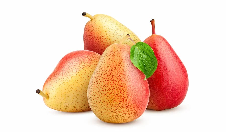 تصویر 4 از قیمت خرید گلابی جنگلی مازندران با فروش عمده